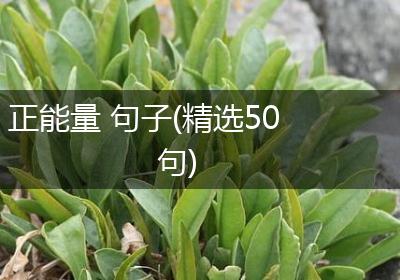 正能量 句子(精选50句)