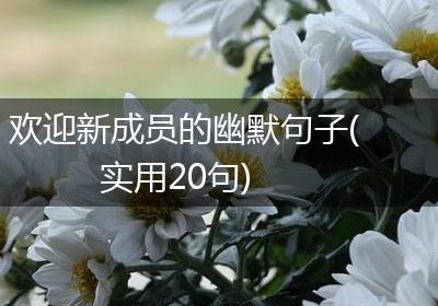 欢迎新成员的幽默句子(实用20句)