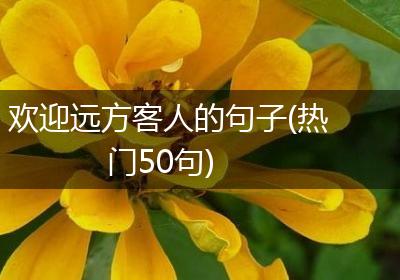 欢迎远方客人的句子(热门50句)