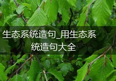 生态系统造句_用生态系统造句大全