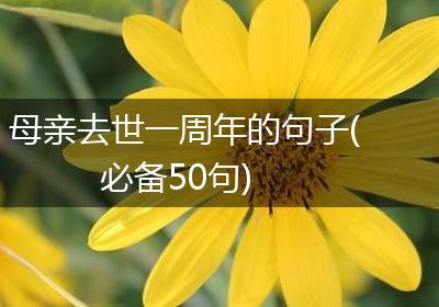 母亲去世一周年的句子(必备50句)