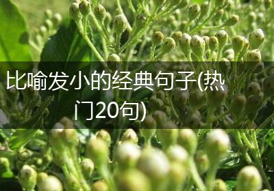 比喻发小的经典句子(热门20句)