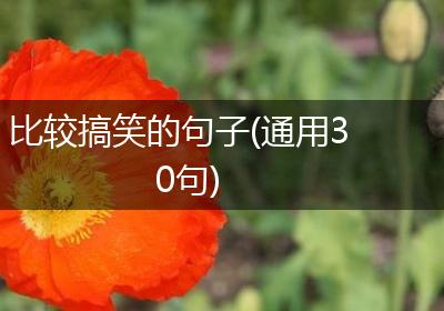 比较搞笑的句子(通用30句)