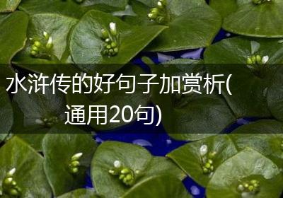 水浒传的好句子加赏析(通用20句)