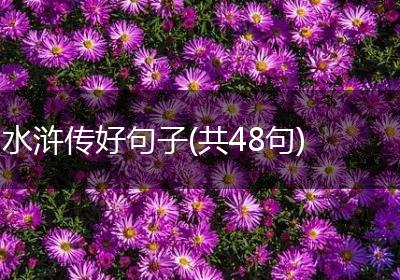 水浒传好句子(共48句)