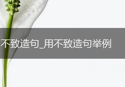不致造句_用不致造句举例