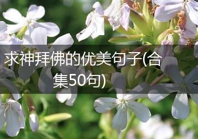 求神拜佛的优美句子(合集50句)