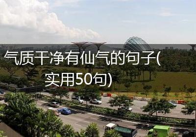 气质干净有仙气的句子(实用50句)