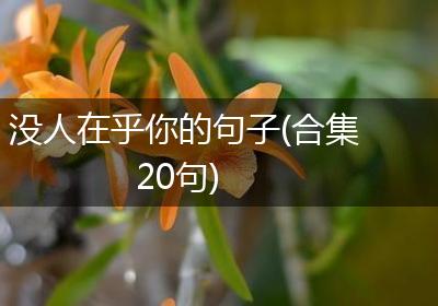 没人在乎你的句子(合集20句)