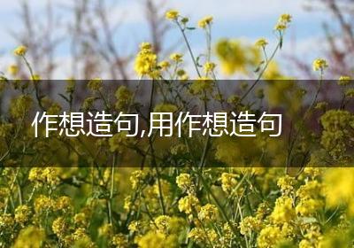 作想造句,用作想造句