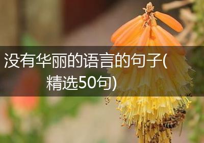 没有华丽的语言的句子(精选50句)