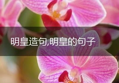 明皇造句,明皇的句子