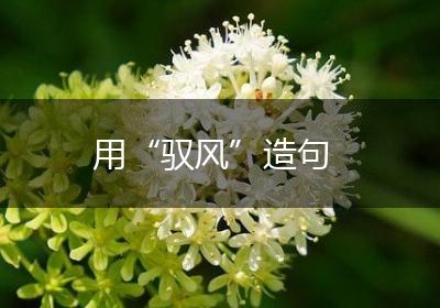 用“驭风”造句