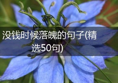 没钱时候落魄的句子(精选50句)