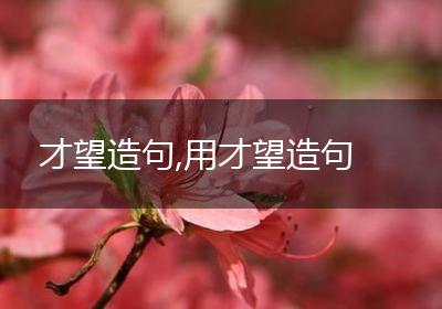 才望造句,用才望造句