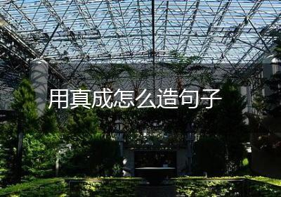 用真成怎么造句子