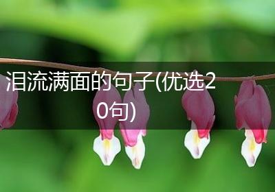 泪流满面的句子(优选20句)