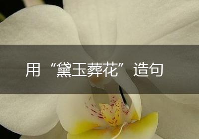 用“黛玉葬花”造句