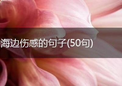 海边伤感的句子(50句)