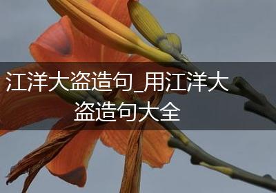 江洋大盗造句_用江洋大盗造句大全