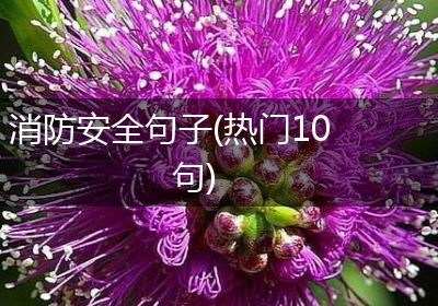 消防安全句子(热门10句)