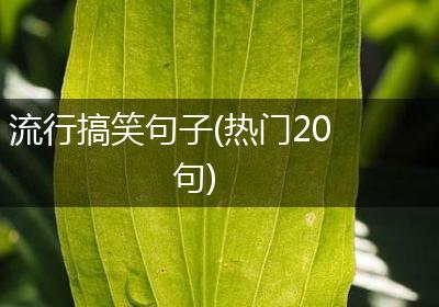 流行搞笑句子(热门20句)