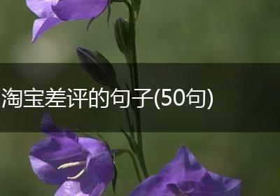 淘宝差评的句子(50句)