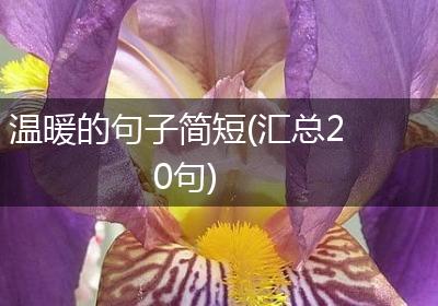 温暖的句子简短(汇总20句)
