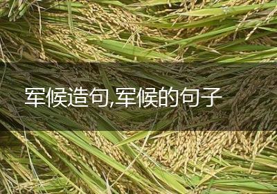 军候造句,军候的句子