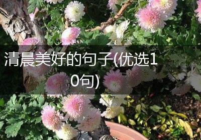 清晨美好的句子(优选10句)