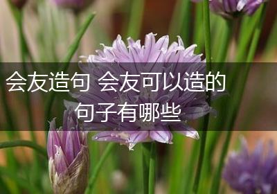 会友造句 会友可以造的句子有哪些