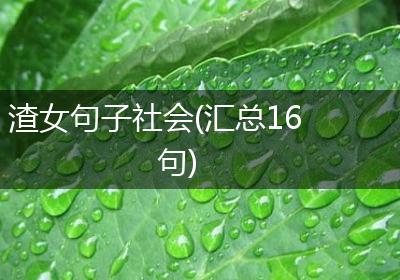 渣女句子社会(汇总16句)