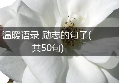 温暖语录 励志的句子(共50句)