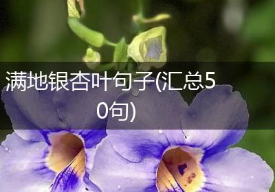 满地银杏叶句子(汇总50句)