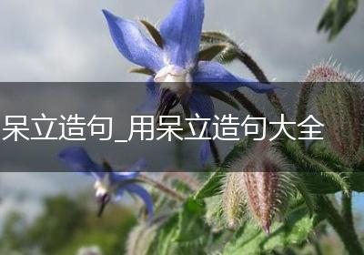 呆立造句_用呆立造句大全