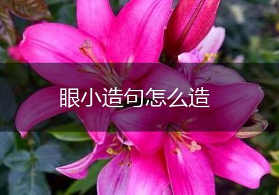 眼小造句怎么造