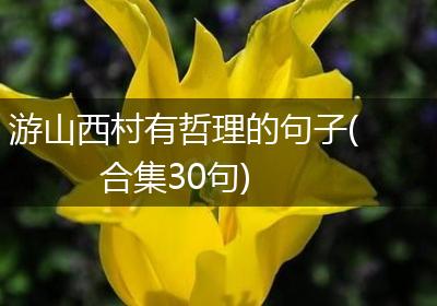游山西村有哲理的句子(合集30句)