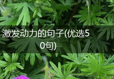 激发动力的句子(优选50句)