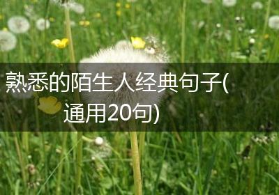 熟悉的陌生人经典句子(通用20句)