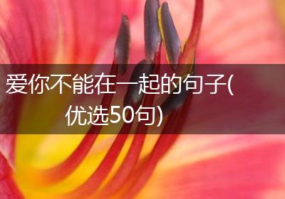 爱你不能在一起的句子(优选50句)