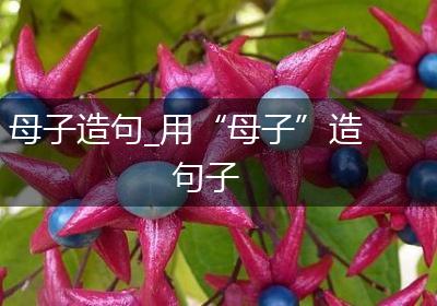 母子造句_用“母子”造句子