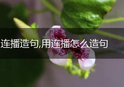 连播造句,用连播怎么造句