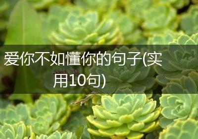 爱你不如懂你的句子(实用10句)