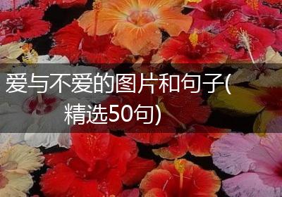 爱与不爱的图片和句子(精选50句)