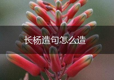 长杨造句怎么造