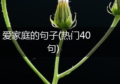 爱家庭的句子(热门40句)