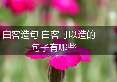 白客造句 白客可以造的句子有哪些
