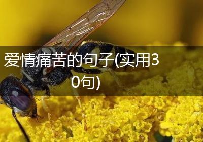 爱情痛苦的句子(实用30句)