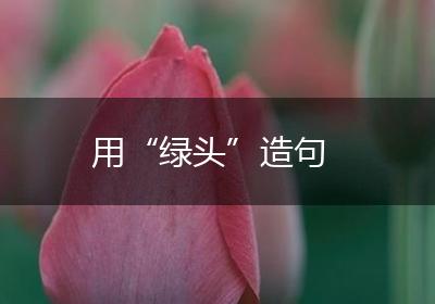 用“绿头”造句