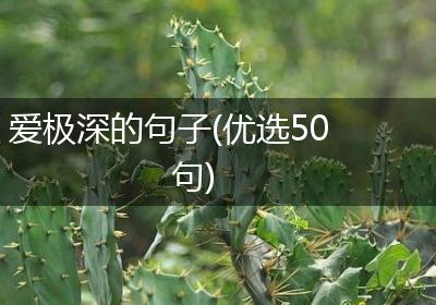 爱极深的句子(优选50句)